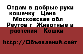 Отдам в добрые руки кошечку › Цена ­ 10 - Московская обл., Реутов г. Животные и растения » Кошки   
